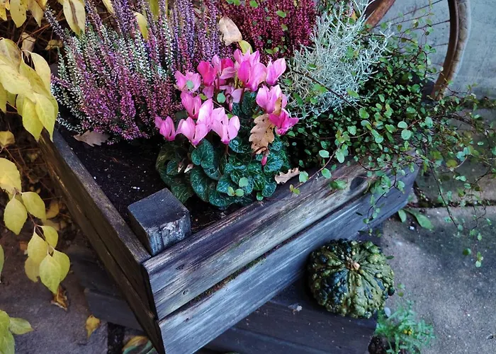 Juthbacka Hotel Uusikaarlepyy